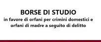 immagine_news_672_id_419