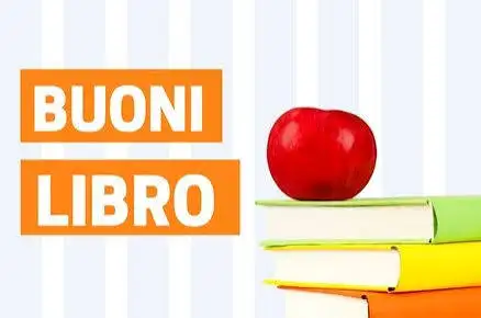 immagine 2 immagine 2