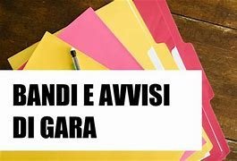 immagine_news_491_id_224