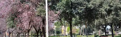 villa comunale